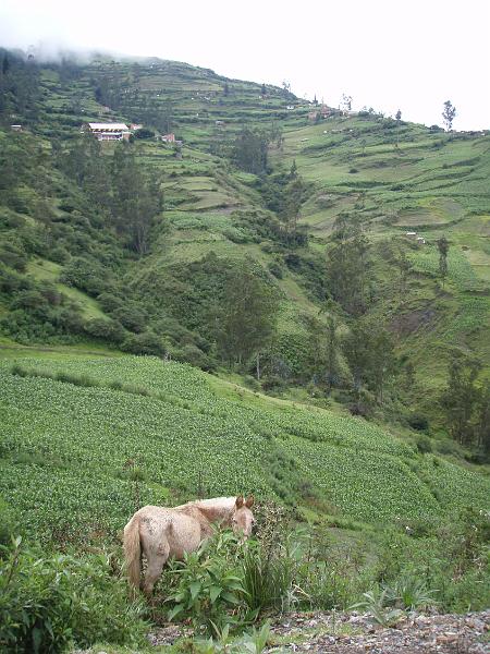 Illampu Trek (112).JPG